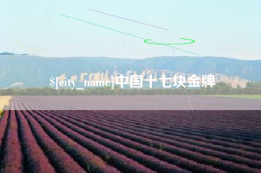 沧县中国十七块金牌