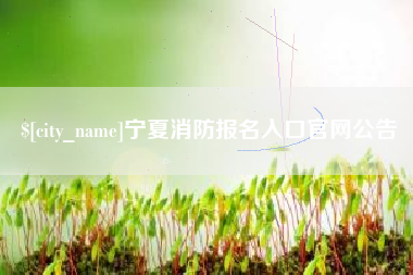 沧县宁夏消防报名入口官网公告