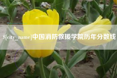 沧县中国消防救援学院历年分数线