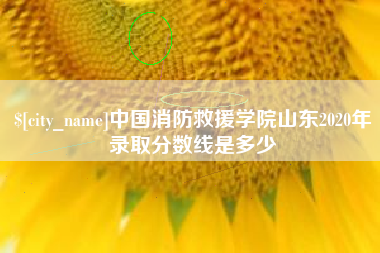 沧县中国消防救援学院山东2020年录取分数线是多少