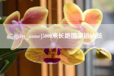 沧县5000米长跑国家运动员