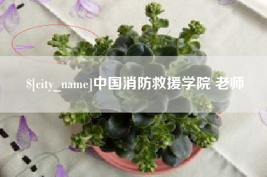 沧县中国消防救援学院 老师