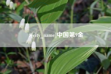 沧县中国第9金