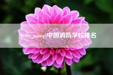 沧县中国消防学校排名