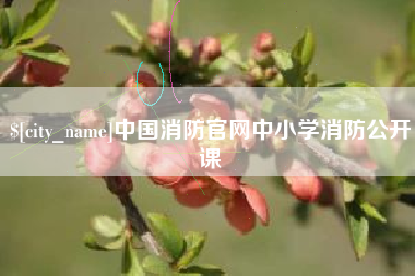 沧县中国消防官网中小学消防公开课