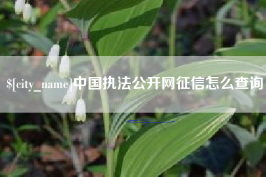沧县中国执法公开网征信怎么查询