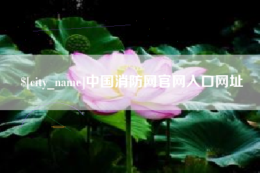 沧县中国消防网官网入口网址