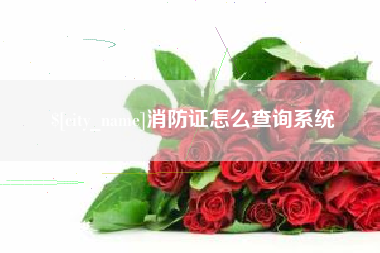沧县消防证怎么查询系统