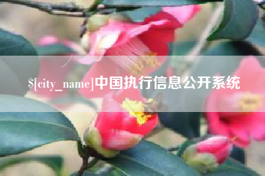 沧县中国执行信息公开系统