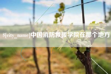 沧县中国消防救援学院在那个地方
