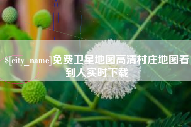 沧县免费卫星地图高清村庄地图看到人实时下载