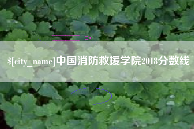 沧县中国消防救援学院2018分数线