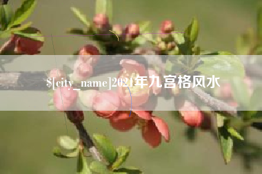 沧县2021年九宫格风水