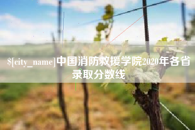 沧县中国消防救援学院2020年各省录取分数线