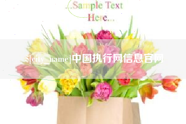 沧县中国执行网信息官网