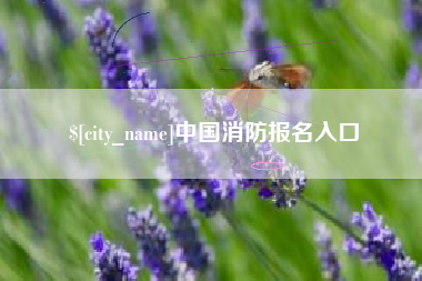 沧县中国消防报名入口
