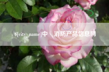 沧县中囯消防产品信息网