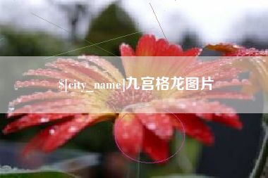 沧县九宫格龙图片