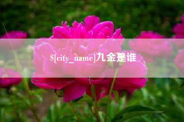 沧县九金是谁