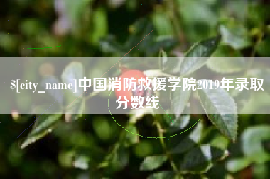 沧县中国消防救援学院2019年录取分数线