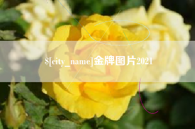 沧县金牌图片2021