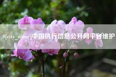沧县中国执行信息公开网平台维护