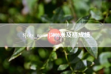 沧县5000米及格成绩
