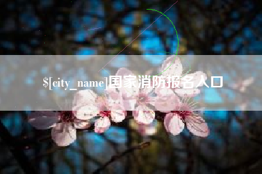 沧县国家消防报名入口