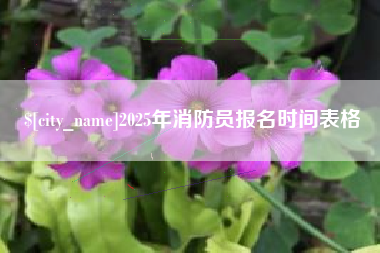 沧县2025年消防员报名时间表格