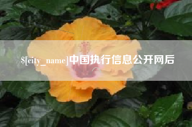 沧县中国执行信息公开网后