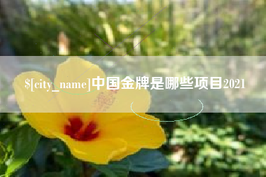 沧县中国金牌是哪些项目2021
