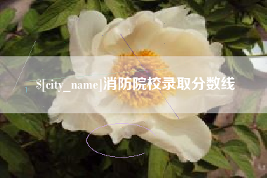沧县消防院校录取分数线
