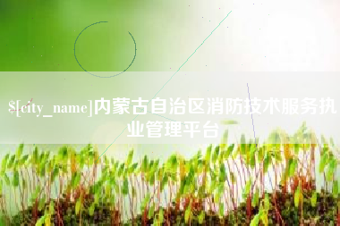 沧县内蒙古自治区消防技术服务执业管理平台