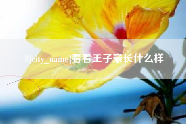 沧县看看王子豪长什么样