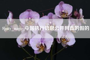 沧县中国执行信息公开网真的假的