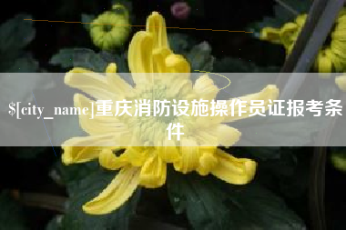 沧县重庆消防设施操作员证报考条件