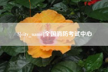 沧县全国消防考试中心