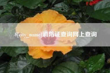 沧县消防证查询网上查询