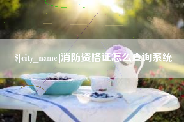 沧县消防资格证怎么查询系统