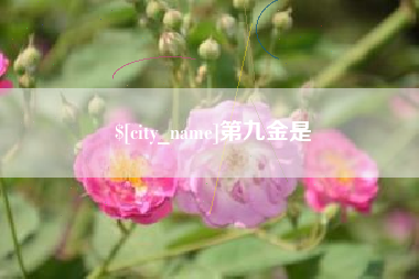沧县第九金是