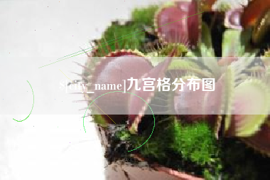 沧县九宫格分布图