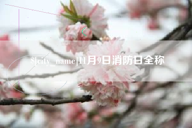 沧县11月9日消防日全称