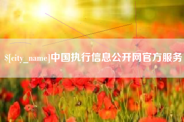 沧县中国执行信息公开网官方服务