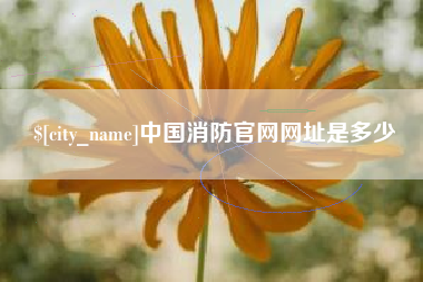 沧县中国消防官网网址是多少
