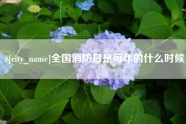 沧县全国消防日是每年的什么时候