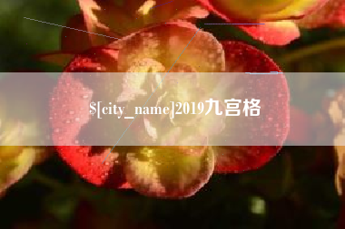 沧县2019九宫格