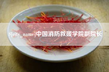 沧县中国消防救援学院副院长