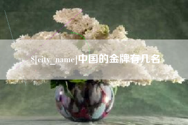 沧县中国的金牌有几名
