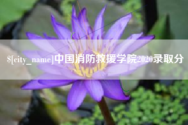 沧县中国消防救援学院2020录取分