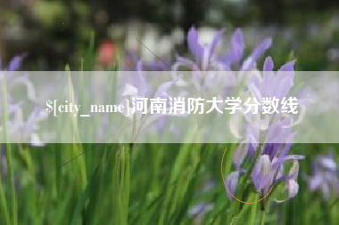 沧县河南消防大学分数线